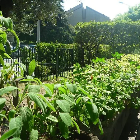 Il Girasole Apartment