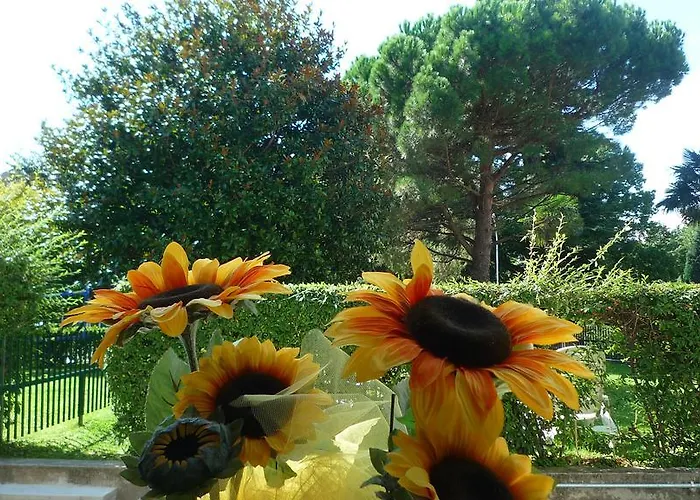 Il Girasole