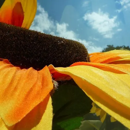 Apartmán Il Girasole